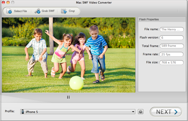 quicktime player can run .swf file for mac